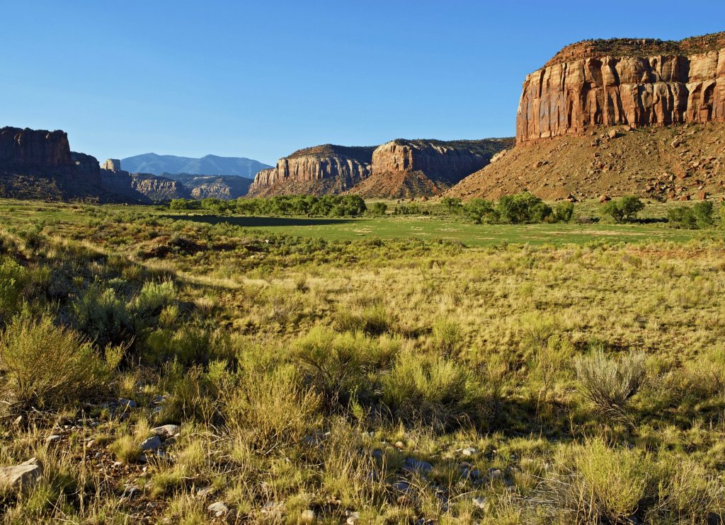 About Native Land Information System