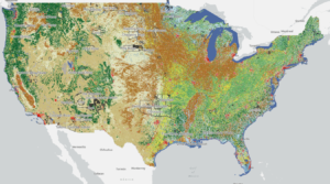 Descriptive statistics by Tribal land status.