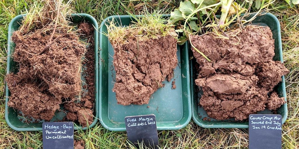 three different types of soil being analyzed in trays