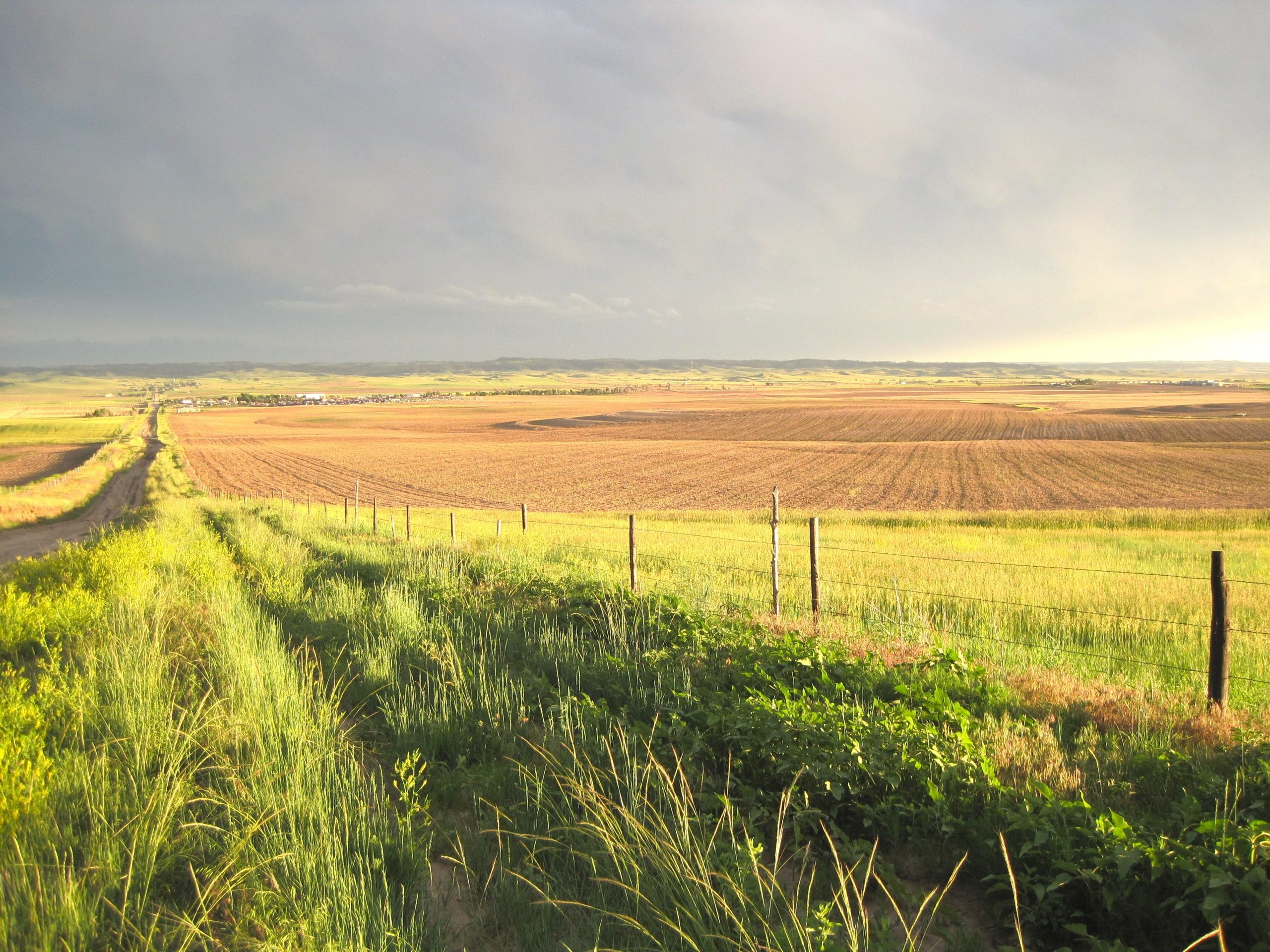 Announcing Our New Storymap The Legacy Of Allotment On Contemporary 