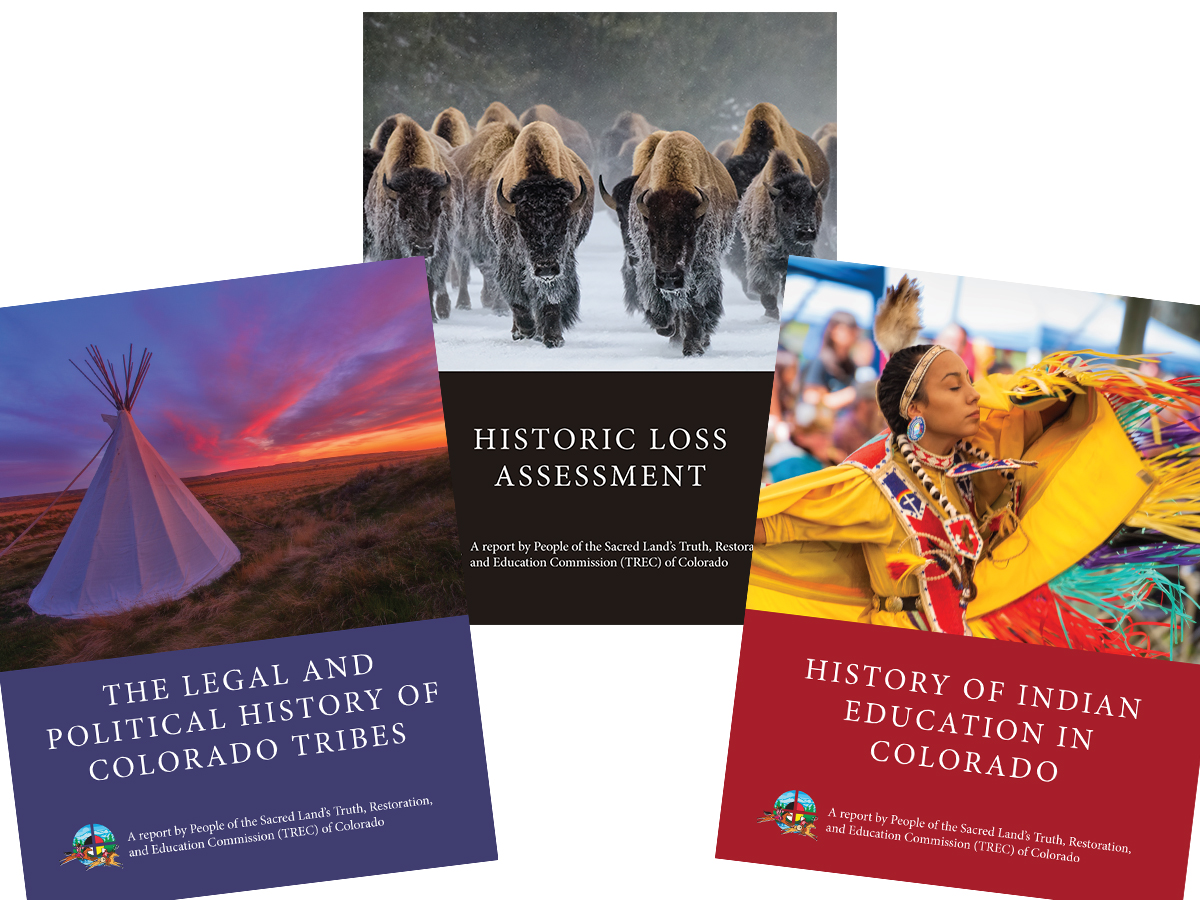 This image shows the three reports published by the Truth, Restoration, and Education Commission. One of these three reports is the Historic Loss Assessment developed by NLAP.