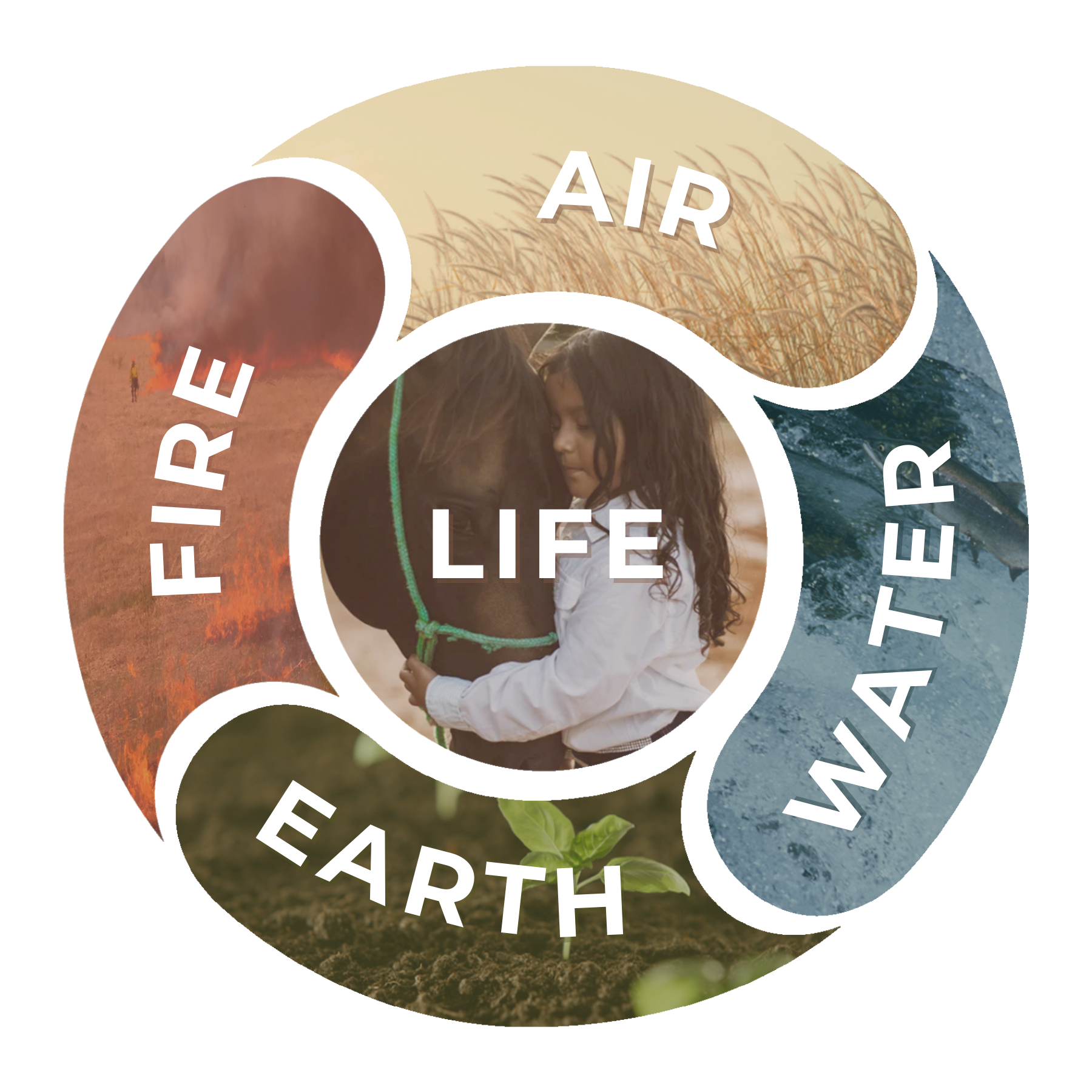 Climate Data Portal Graphic – Testing