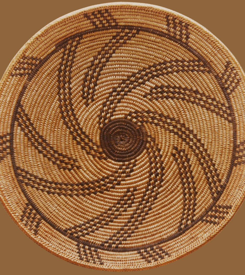 Publications & Reports