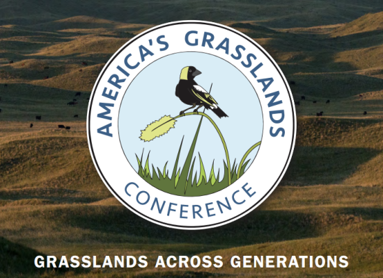 Americas Grasslands Conf Logo